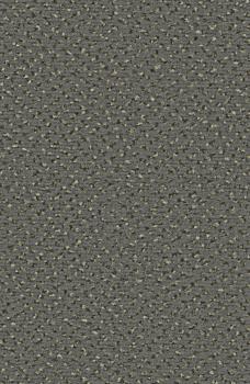 Preview: Rechteckbild vom Alexis